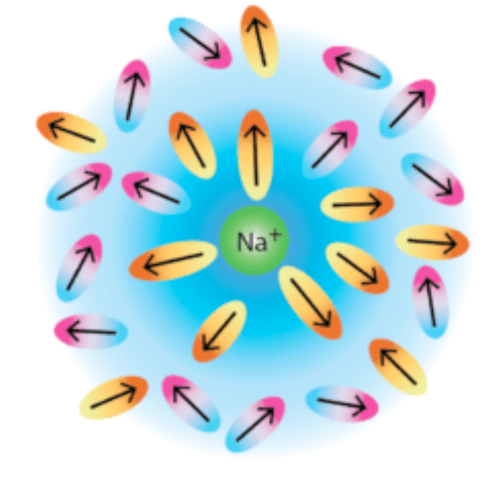 Schematic of a Na+ cation surrounded by oriented solvent dipoles in concentric shells.