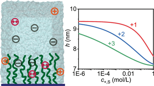 Polyelectrolyte brush with counterions and a plot of brush height versus salt concentration for +1, +2, +3 ion valencies.